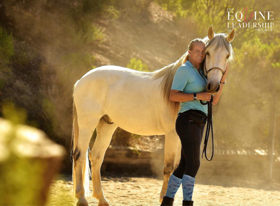 Equine Leadership Program Corporate Team Building Retreats